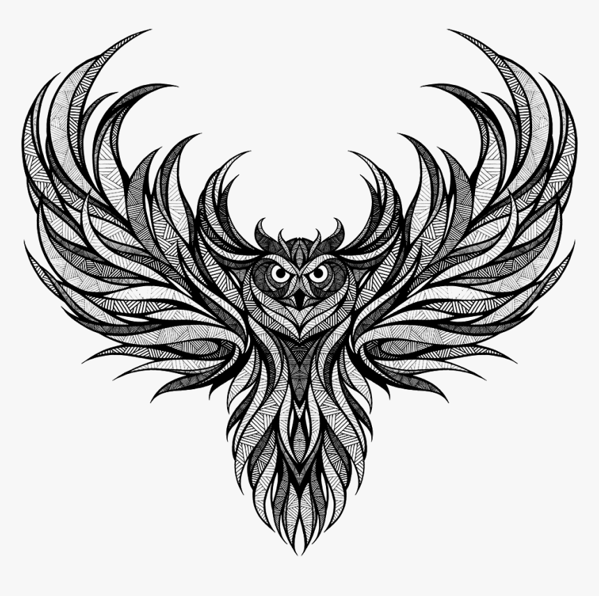 Drawing Skateboard Wing Tattoo - Landyachtz Tomahawk Owl, HD Png Download, Free Download
