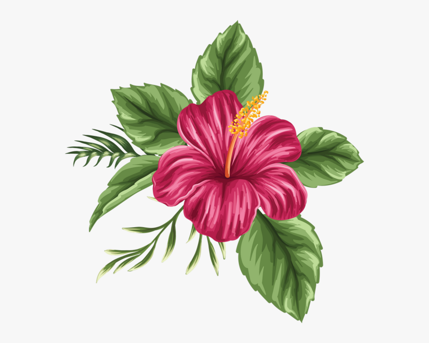 Clip Art Pin By Jadwiga On - Hibiscus Hawaiian Flower Drawing, HD Png Download, Free Download