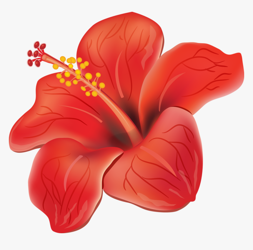Hibiscus Clipart Puerto Rico Flower - Flores Moana Baby Png, Transparent Png, Free Download