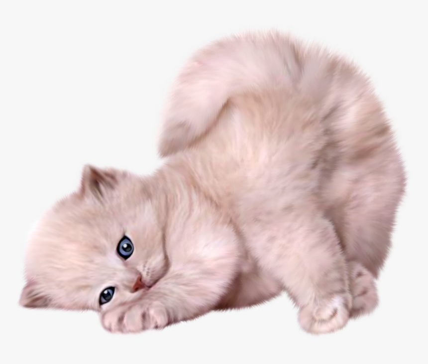 Transparent White Cat Png - White Cat Transparent Background, Png Download, Free Download