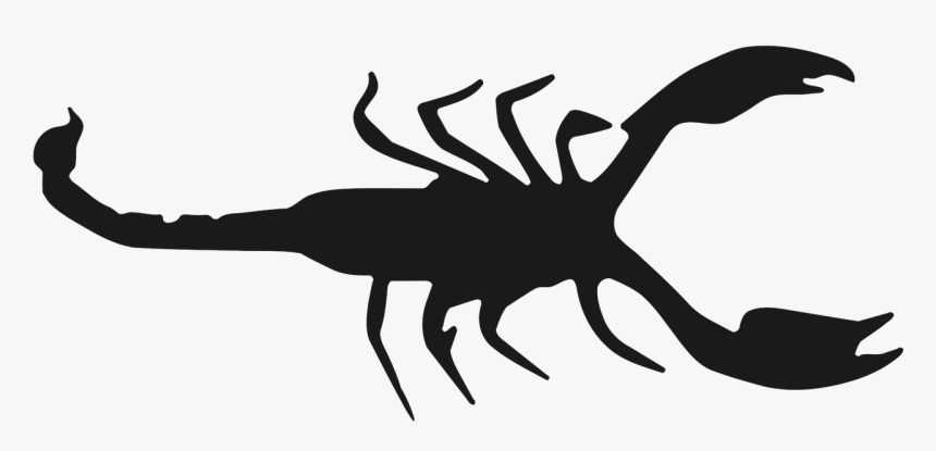 Scorpio, Zodiac, Arachnid, Symbol, Categories - Insect, HD Png Download, Free Download