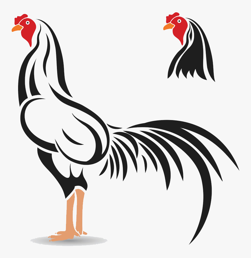 Cockfight Rooster Illustration - รูป ไก่ ลาย เส้น, HD Png Download, Free Download