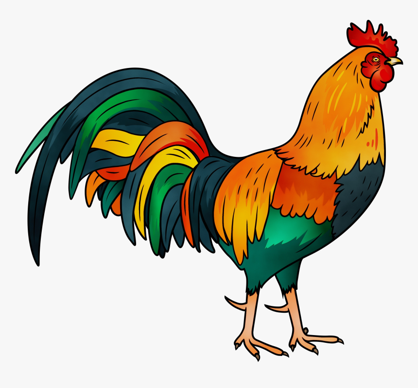 Animal Show Png - Transparent Rooster Png, Png Download, Free Download