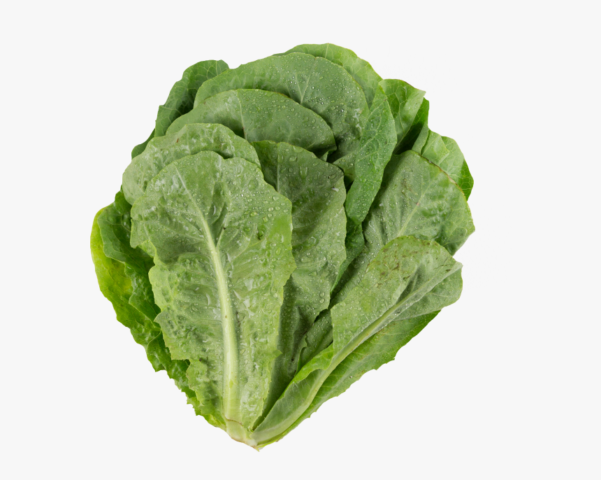 Transparent Lettuce Png - Collard Greens, Png Download, Free Download