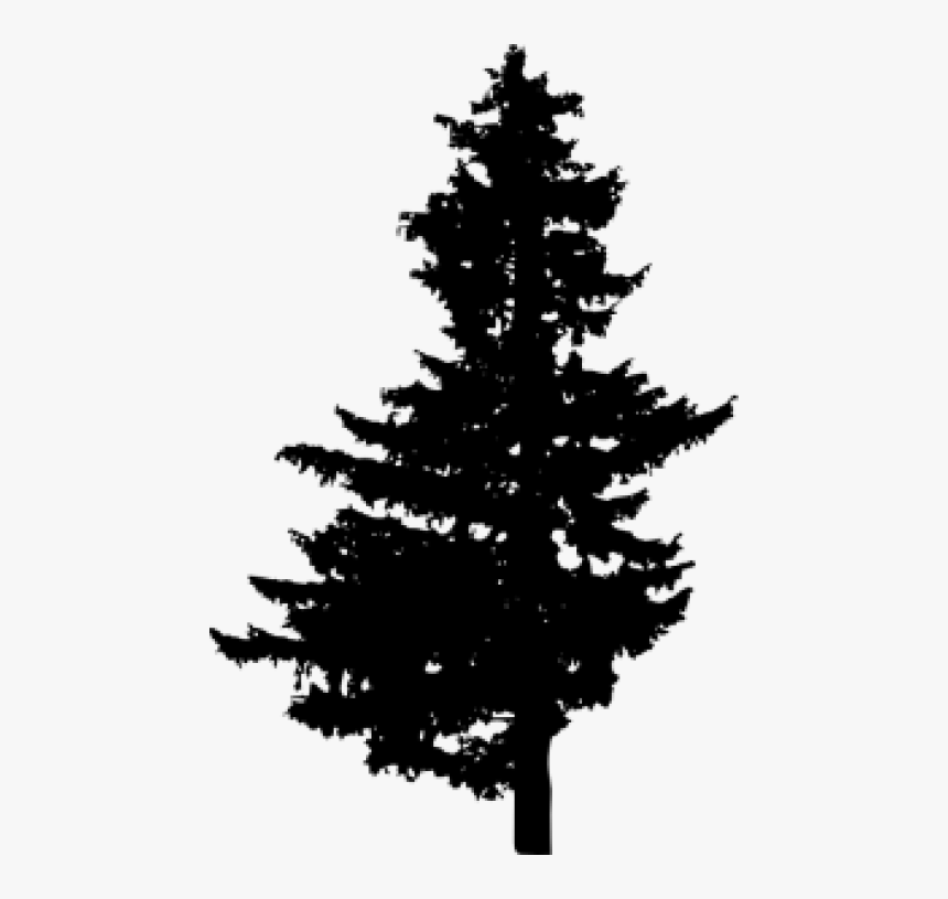 Pine Tree Silhouette Png Images Toppng - Pine Tree Vector Png, Transparent Png, Free Download