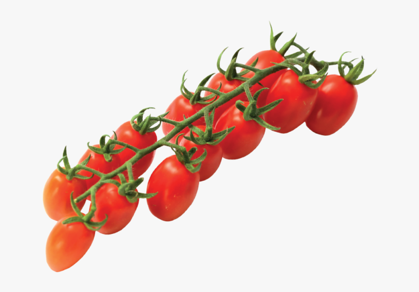 Vittoria Tomatoes Home Eng - Vittoria Tomato, HD Png Download, Free Download