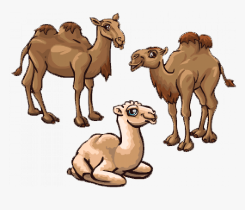 Sitting Camel Png, Transparent Png, Free Download