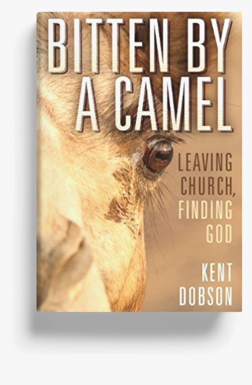 Book Bitten By A Camel - Poster, HD Png Download, Free Download
