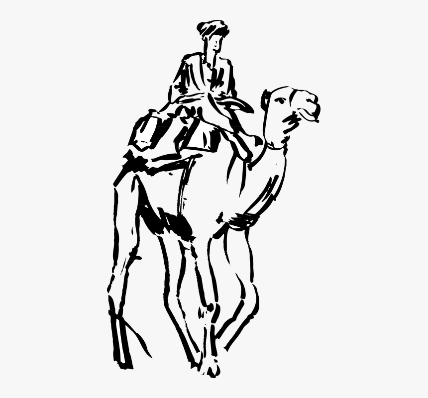 Man Riding A Camel Png Easy To Draw - Man On Camel Drawings, Transparent Png, Free Download