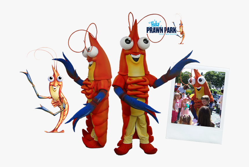 Prawn Huka Prawn Park - Shrimp Costume, HD Png Download, Free Download