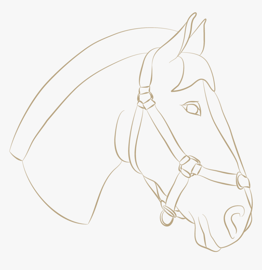 Horse Head Ill - Mane, HD Png Download, Free Download