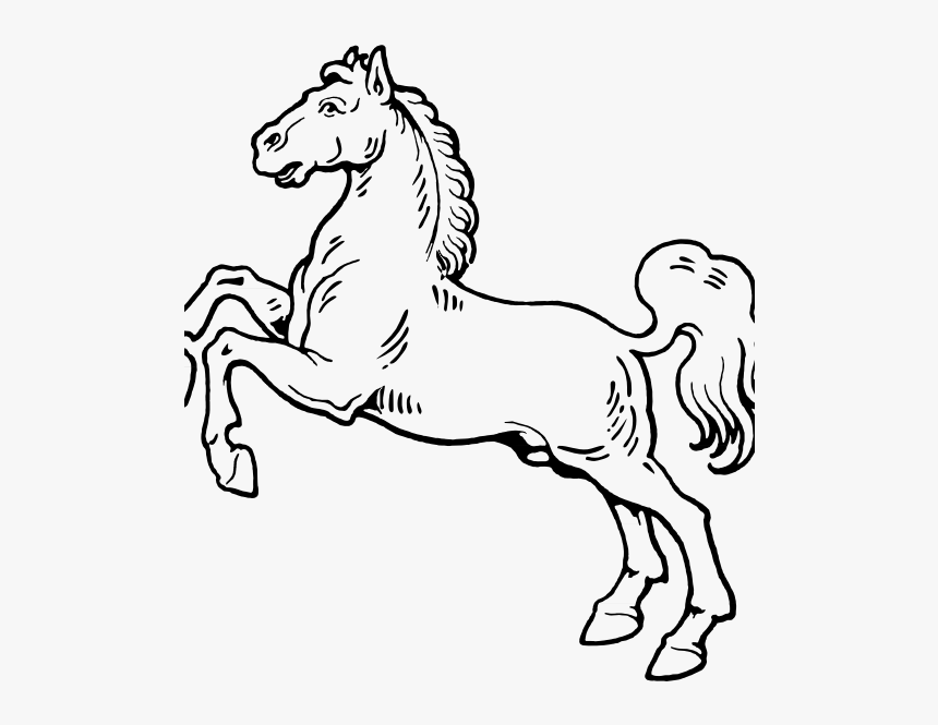 White Horse - Big Animals Black And White, HD Png Download, Free Download