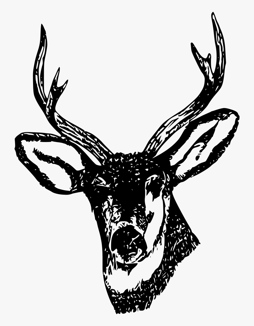 Green Stag, HD Png Download, Free Download