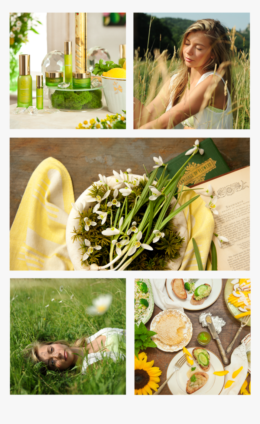 Thopenerwebpage, HD Png Download, Free Download