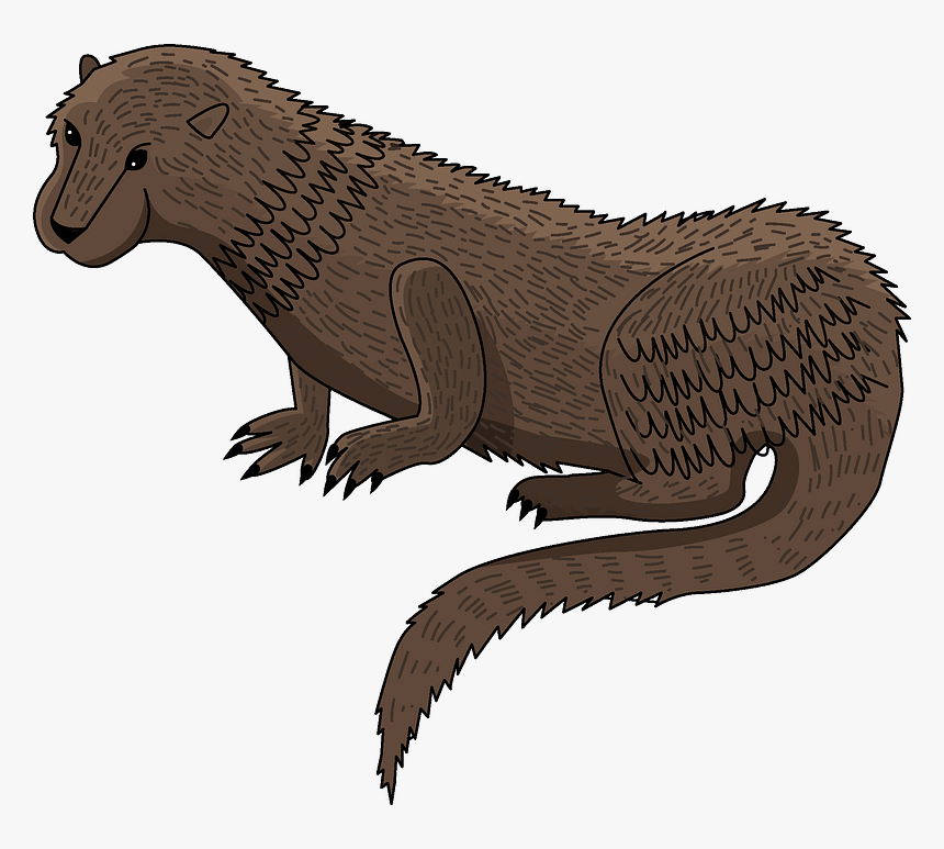 Otter Clipart - North American River Otter, HD Png Download, Free Download