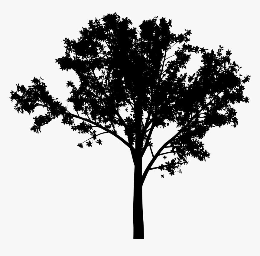 Arbre Svg, HD Png Download, Free Download