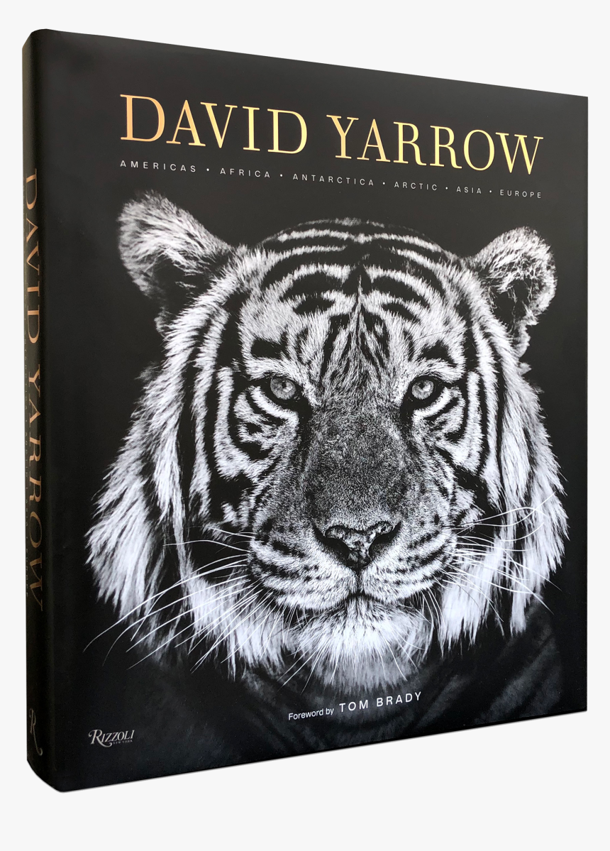 David Yarrow Photography Book, HD Png Download, Free Download