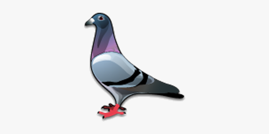 Stock Dove Bird Columbidae Icon - Pigeon Icon, HD Png Download, Free Download