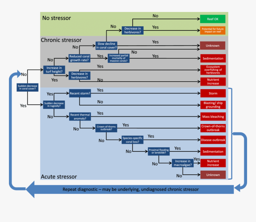 Screenshot, HD Png Download, Free Download