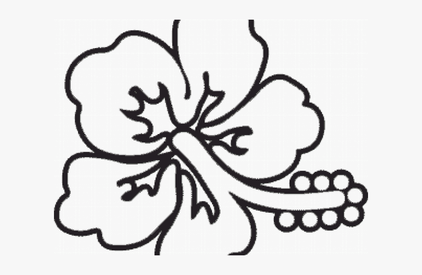 Flower Outline Cliparts - Line Art, HD Png Download, Free Download