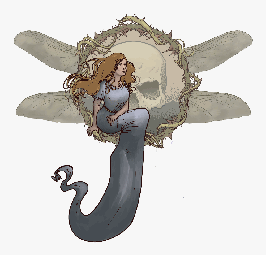 Dragonfly Png, Transparent Png, Free Download
