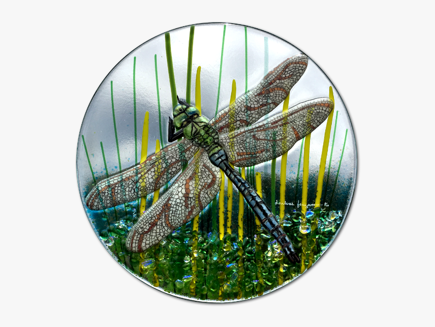 Hand Painted Fused Glass Dragonfly - Dragonfly, HD Png Download, Free Download