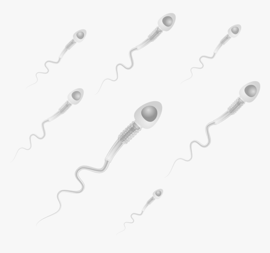 Chain, HD Png Download, Free Download