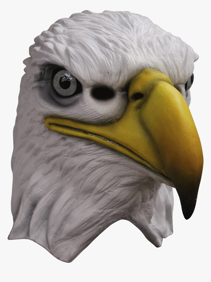 Eagle Mask"
 Class= - Bald Eagle Mask, HD Png Download, Free Download
