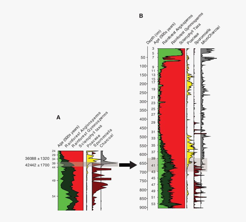 Diagram, HD Png Download, Free Download