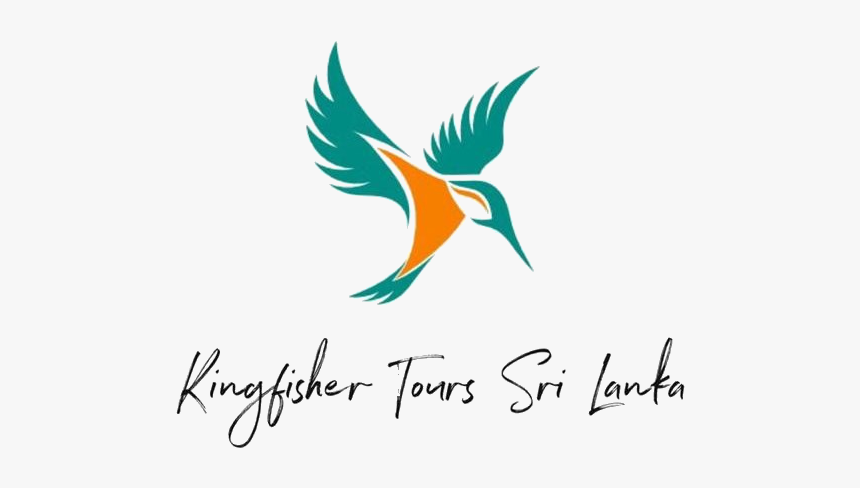 Kingfisher Tours Srilanka - Kingfisher Tours Sri Lanka, HD Png Download, Free Download