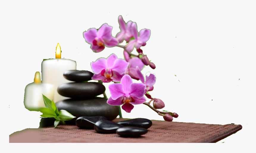 Spa Beauty Png Image Free Download - Spa Beauty Parlour, Transparent Png, Free Download