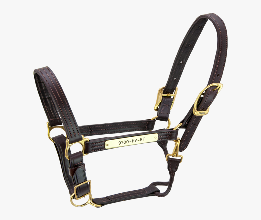 Kentucky Halter - - Halter, HD Png Download, Free Download