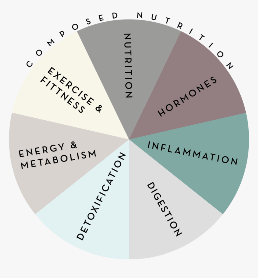 Composure Color Wheel 1 Png - Circle, Transparent Png, Free Download