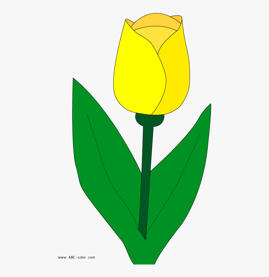 Leaves Clipart Tulip - Тюльпан Рисунок Пнг, HD Png Download, Free Download