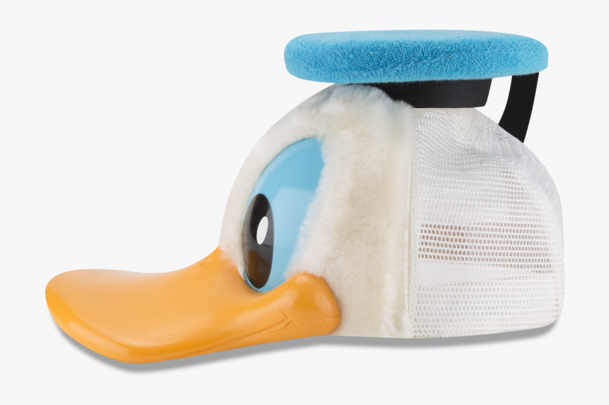 Duck, HD Png Download, Free Download