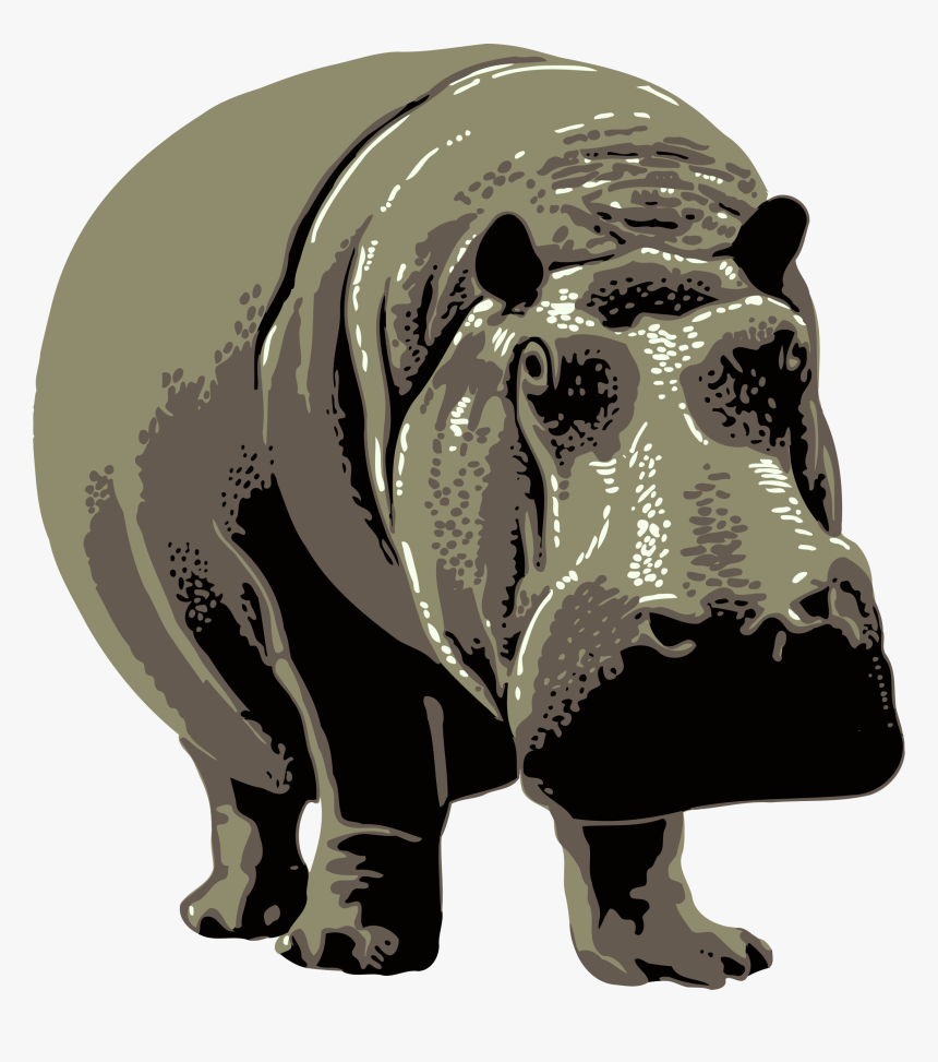 Hippo Photo Background - Philadelphia Zoo Poster, HD Png Download, Free Download