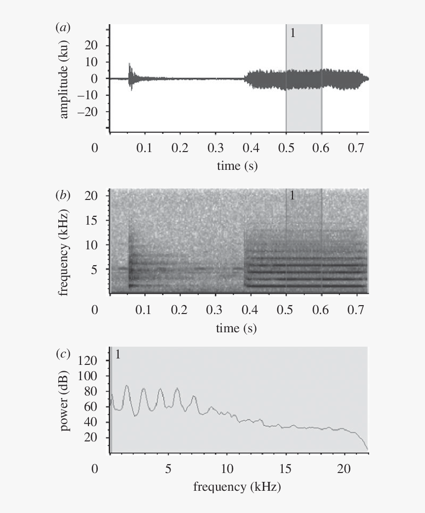 Waveform, Spectrogram And (c) Power Spectrum Of (635x959), - Spectrum And Spectrogram, HD Png Download, Free Download