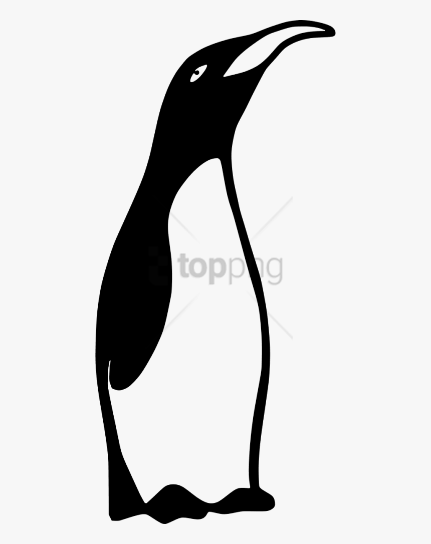 Clipart A Penguin Black And White, Png Download - Clipart Black And White Vector Penguin, Transparent Png, Free Download