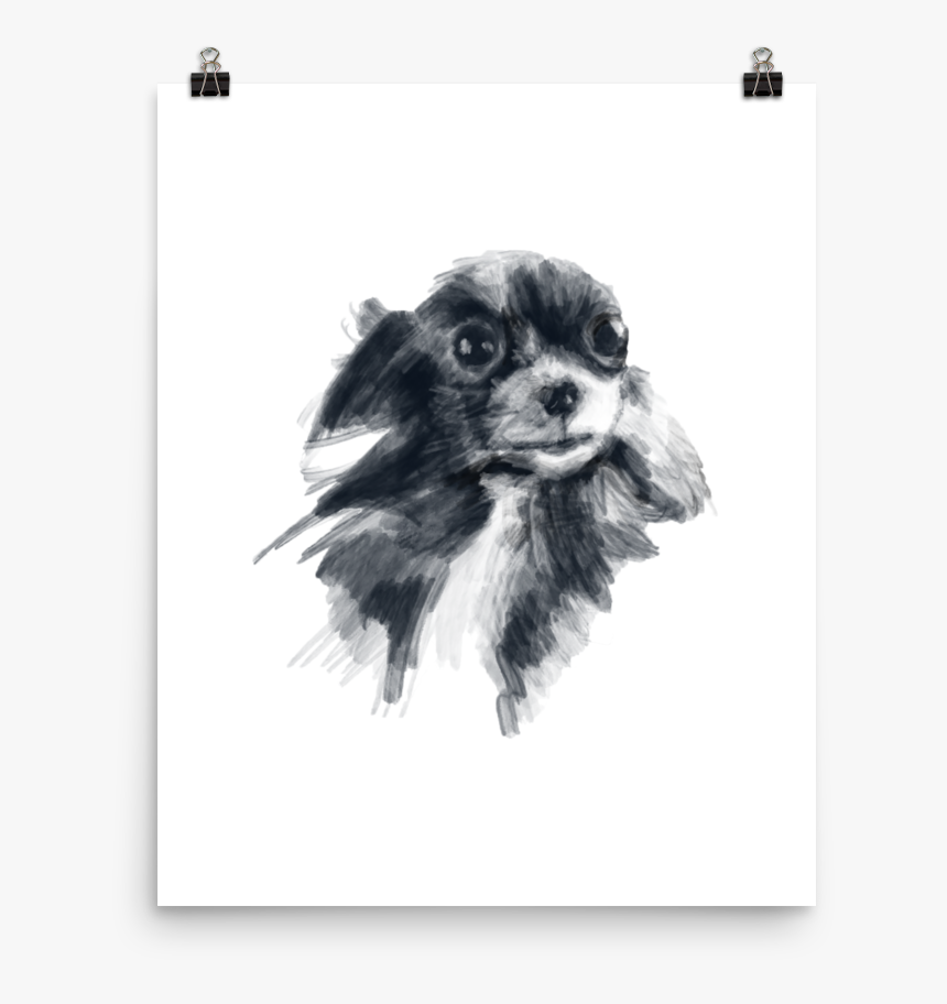 Cocker Spaniel, HD Png Download, Free Download