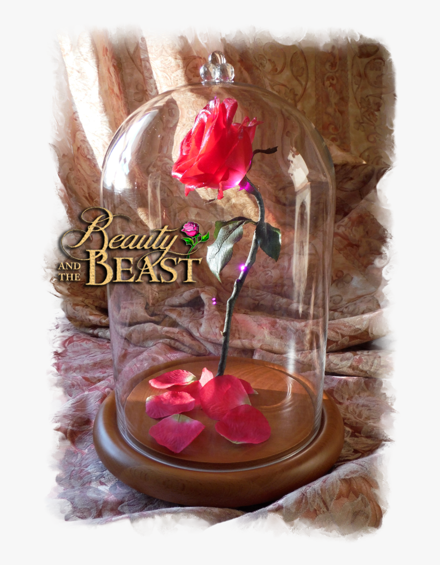 Free Beauty And The Beast Rose In Glass - Artificial Flower, HD Png Download, Free Download