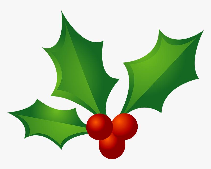 Christmas Holly Clipart ひいらぎ イラスト Hd Png Download Kindpng