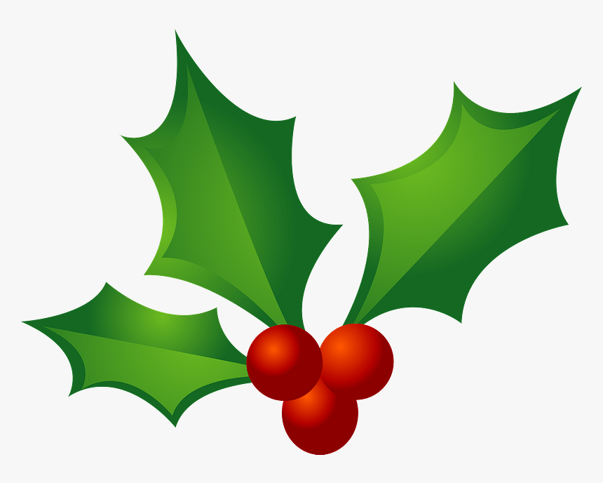 Christmas Holly Clipart - ひいらぎ イラスト, HD Png Download, Free Download