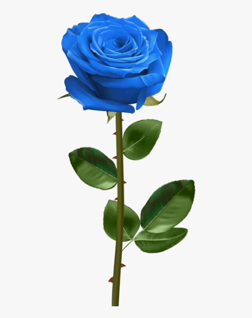Blue Rose With Stem Png - Transparent Background Blue Rose Png, Png Download, Free Download