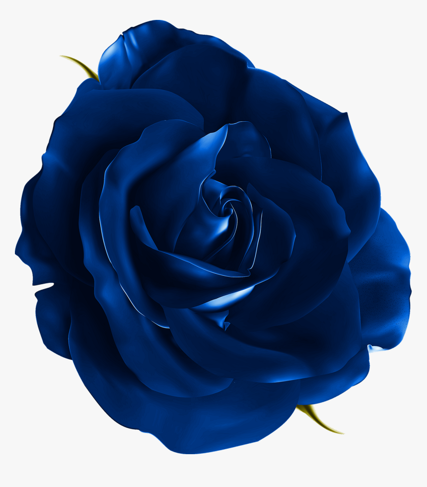 Blue Rose Png Download - Flower Realistic Transparent, Png Download, Free Download