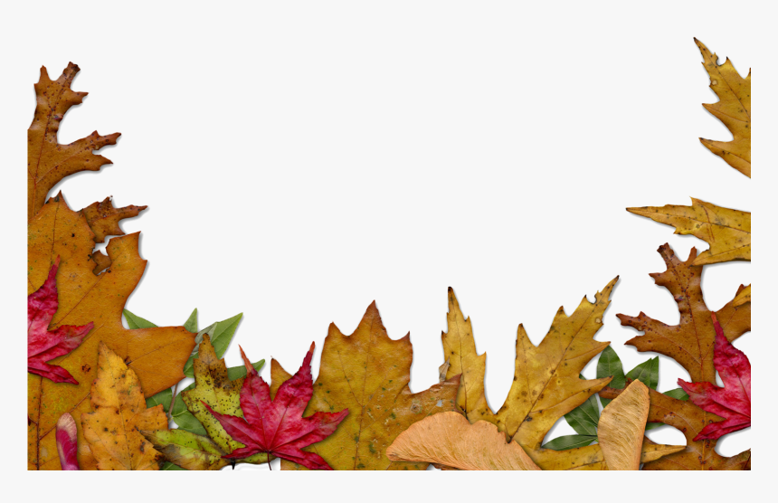 Transparent Autumn Border Png - Transparent Fall Leaves Background, Png Download, Free Download