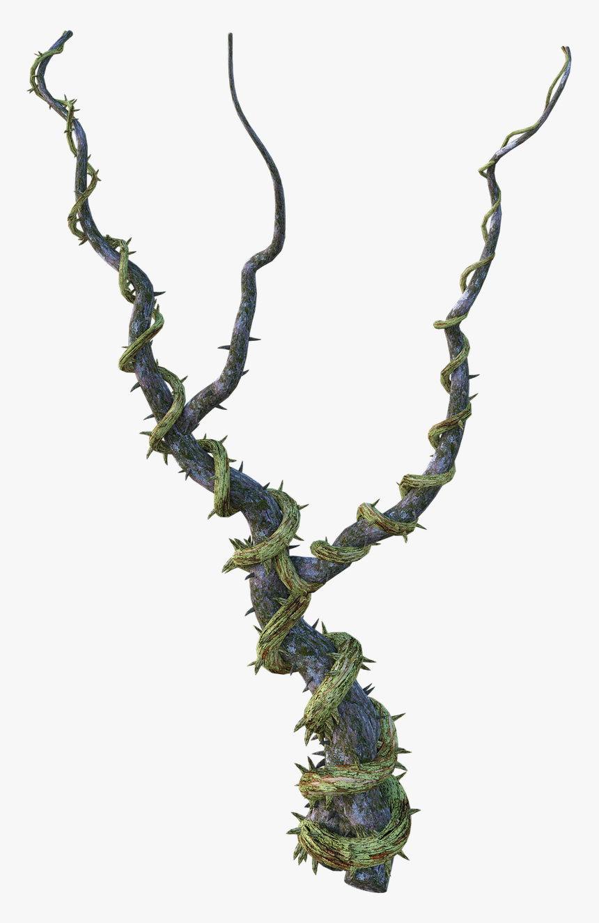 Fantasy Vine Png, Transparent Png, Free Download