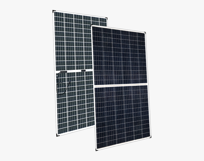 Goldstruck Coffee, HD Png Download, Free Download