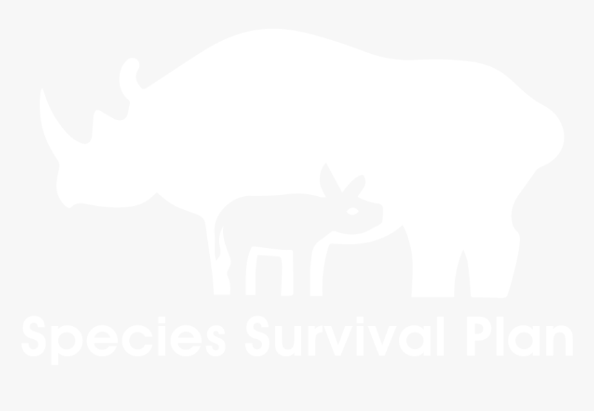 Aruba Island Rattlesnake - Species Survival Plan Logo, HD Png Download, Free Download