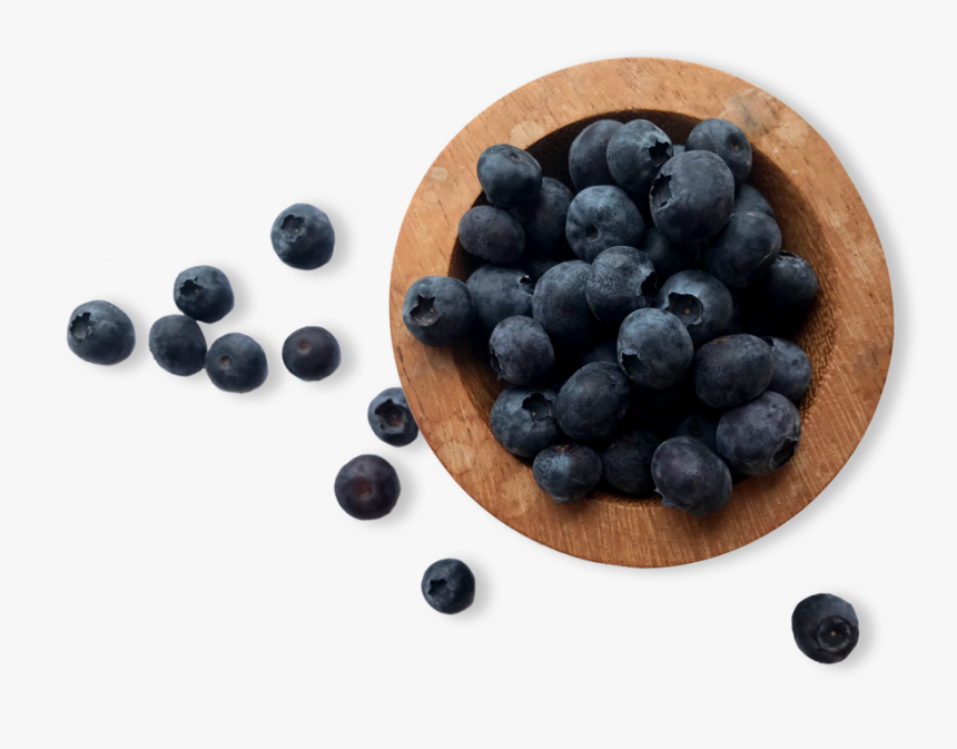 Blueberries - Bilberry, HD Png Download, Free Download