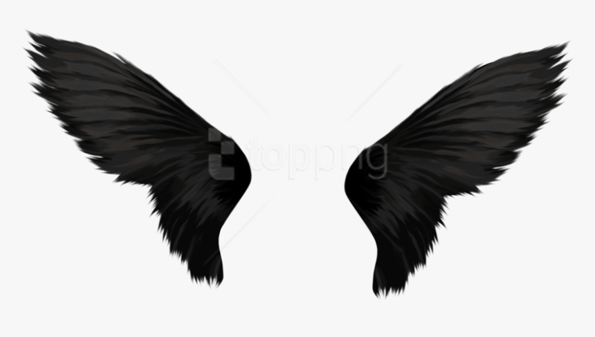 Free Png Download Black Wings Png Images Background - Black Wings Png, Transparent Png, Free Download